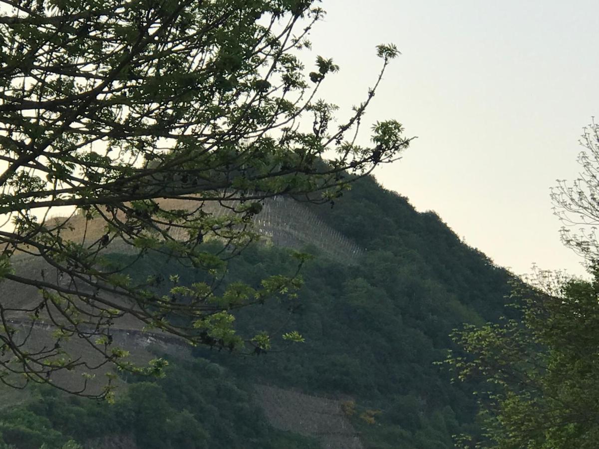 Gaestezimmer Klein Und Fein Fuer Nach Dem Wein Ноймаген-Дрон Екстериор снимка